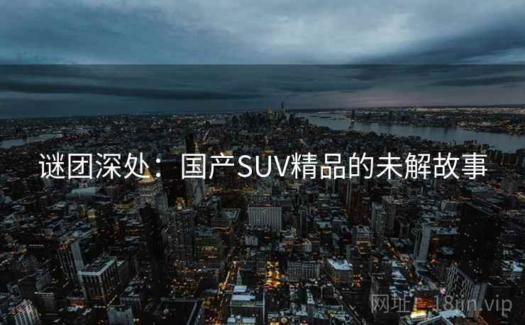 谜团深处：国产SUV精品的未解故事