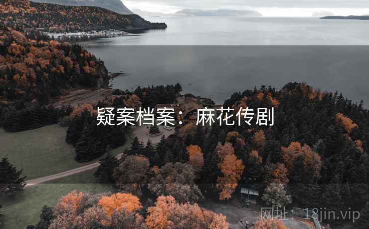 疑案档案:麻花传剧