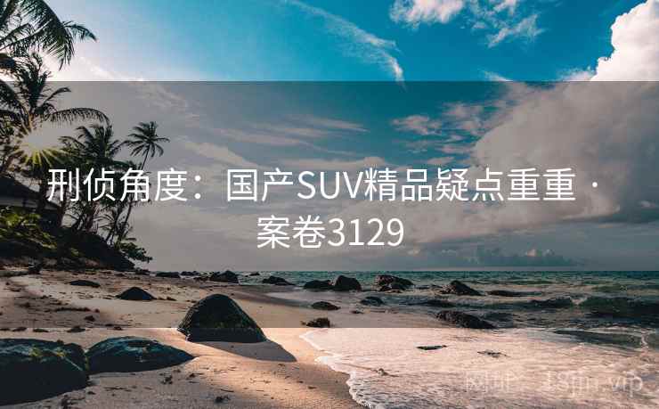 刑侦角度:国产SUV精品疑点重重 · 案卷3129
